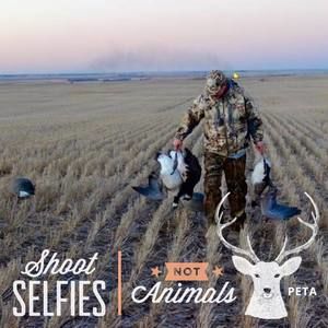 Meet your Posher, Evan